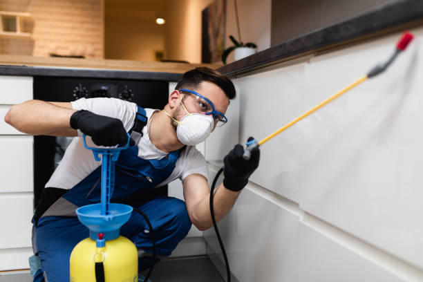 Best Pest Removal Services  in Wooster, AR