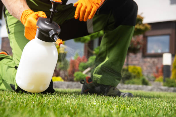 Wildlife Control Services in Wooster, AR