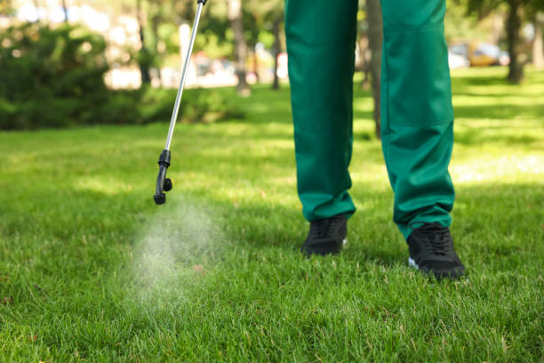 Best Exterminator Services  in Wooster, AR