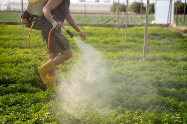 Pest Control Cost in Wooster, AR