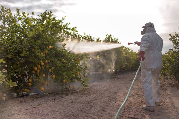 Best Pest Control Near Me  in Wooster, AR