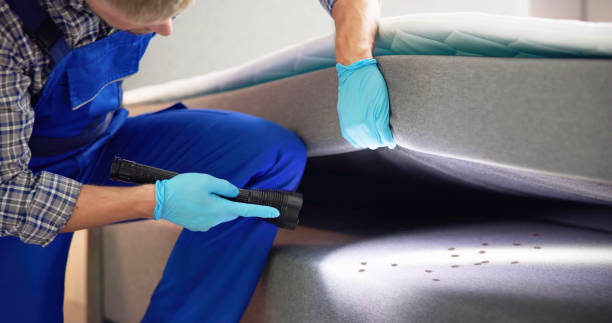 Wasp Removal Services in Wooster, AR