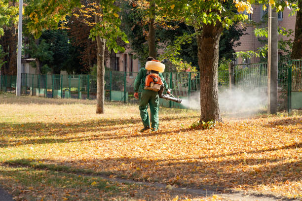 Best Wasp Removal Services  in Wooster, AR