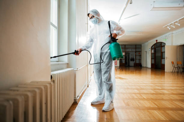 Best Residential Pest Control  in Wooster, AR